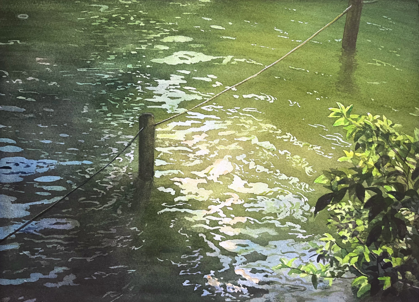 Sample image