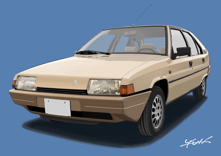 Sample image