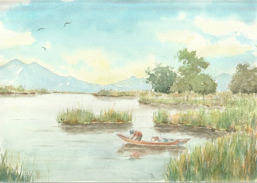 Sample image