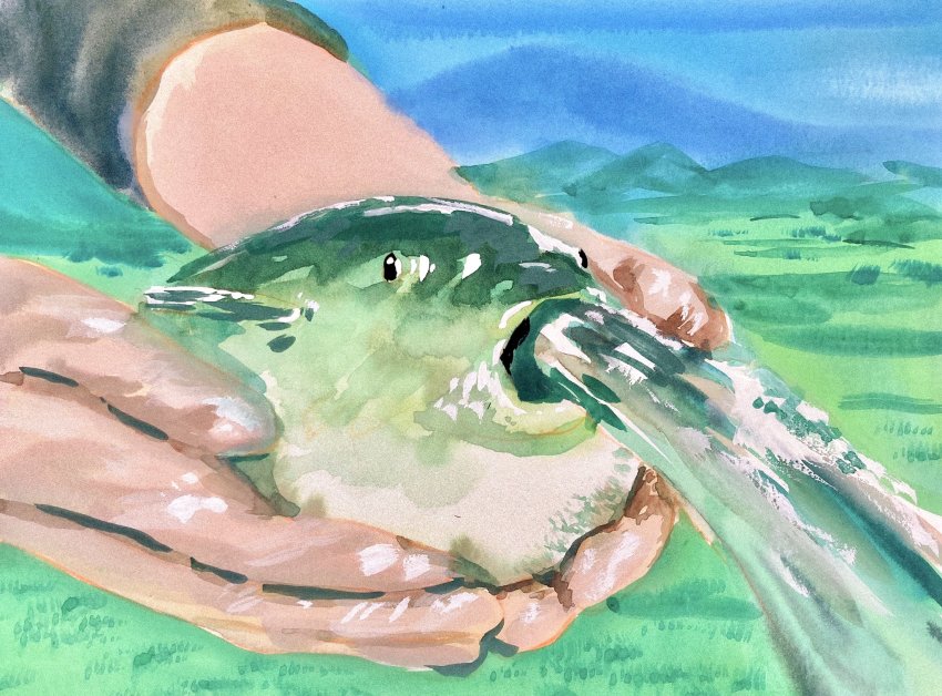 Sample image