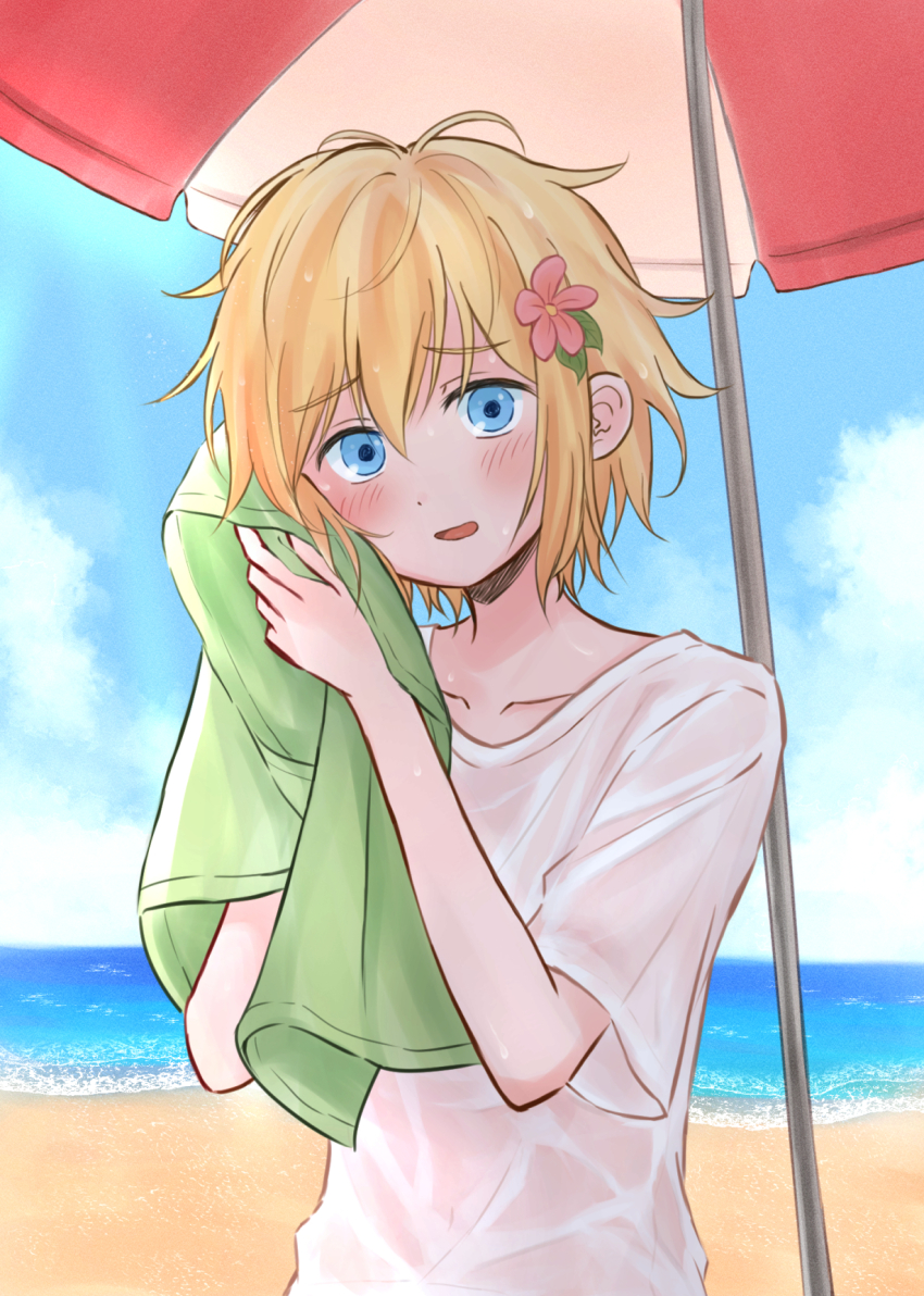Sample image
