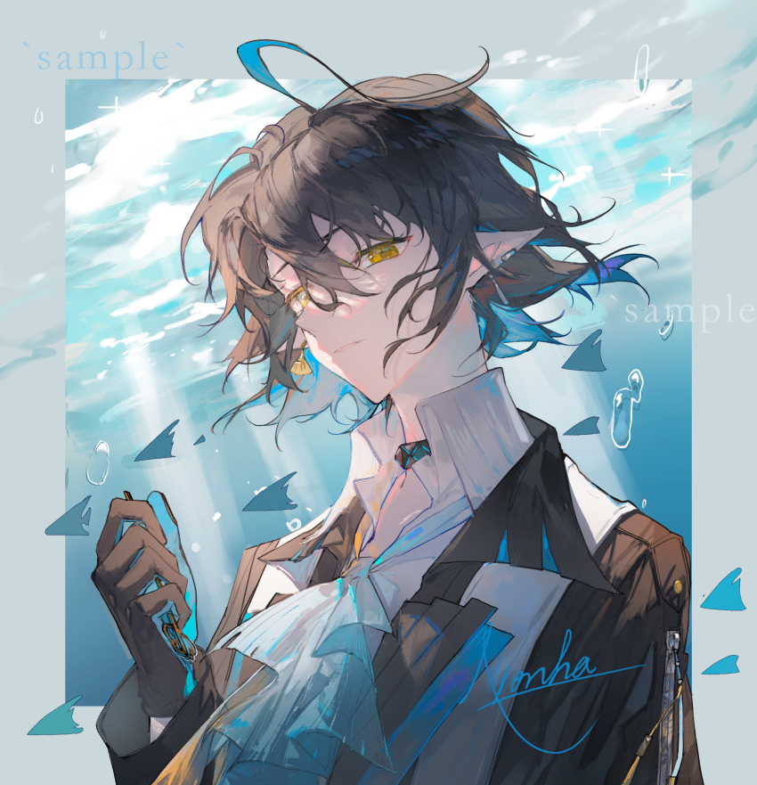 Sample image