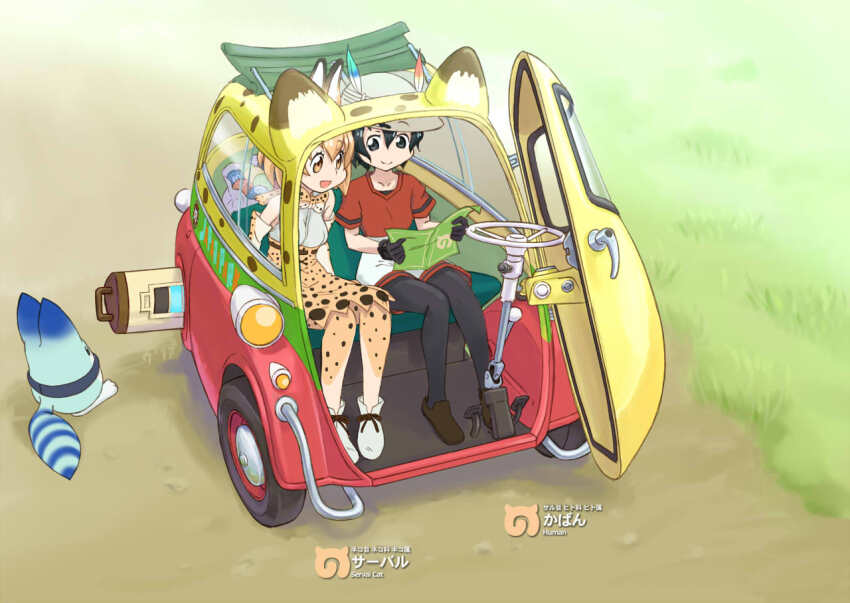 Sample image