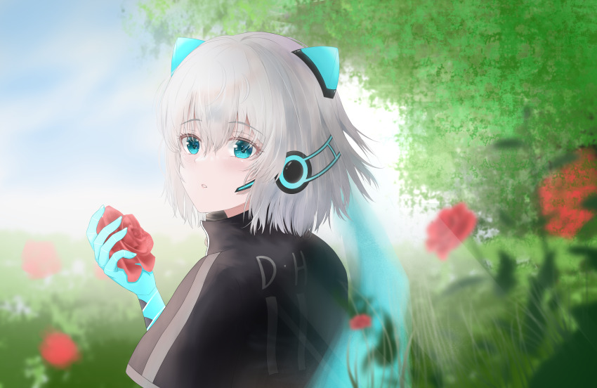 Sample image
