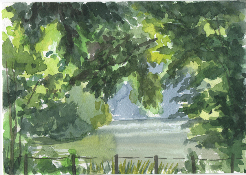 Sample image