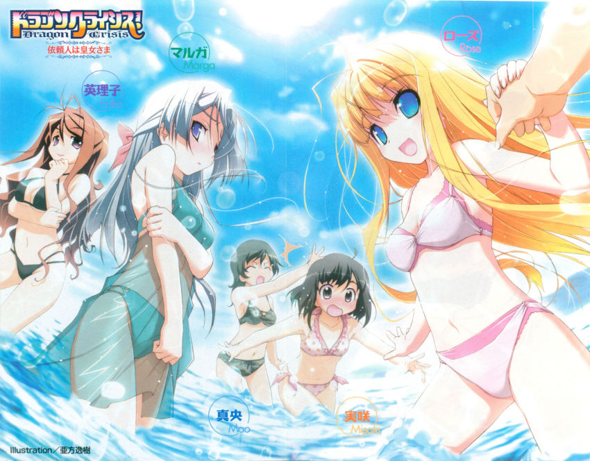 Sample image