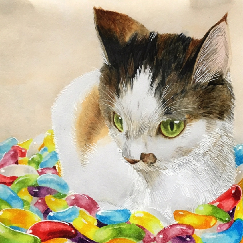 Sample image