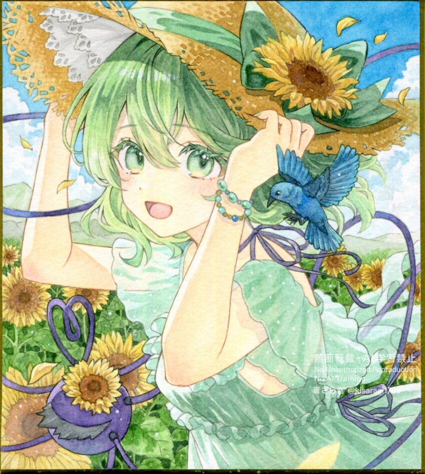 Sample image