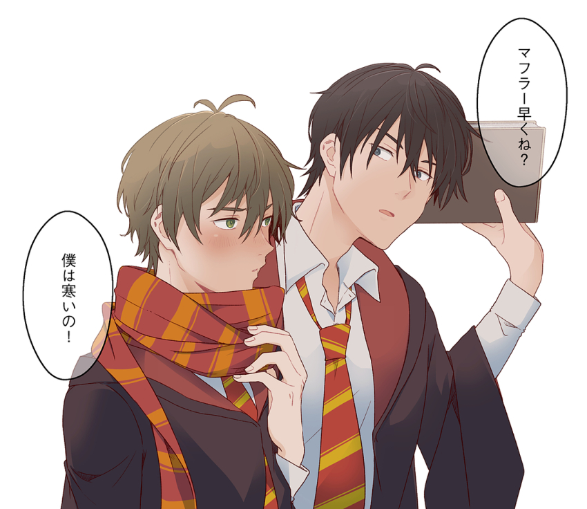 Sample image