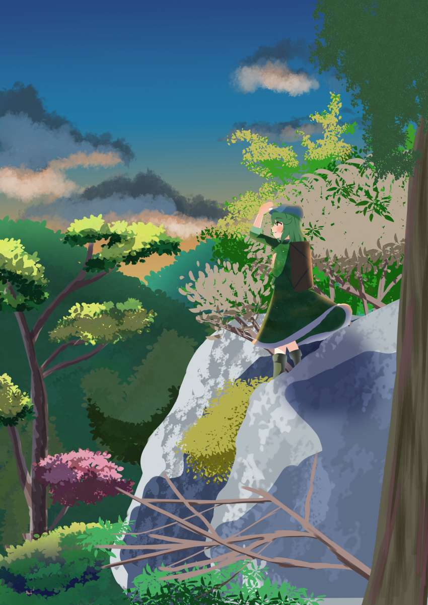Sample image