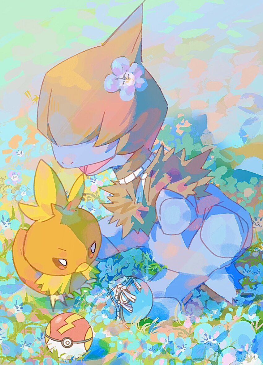 Sample image