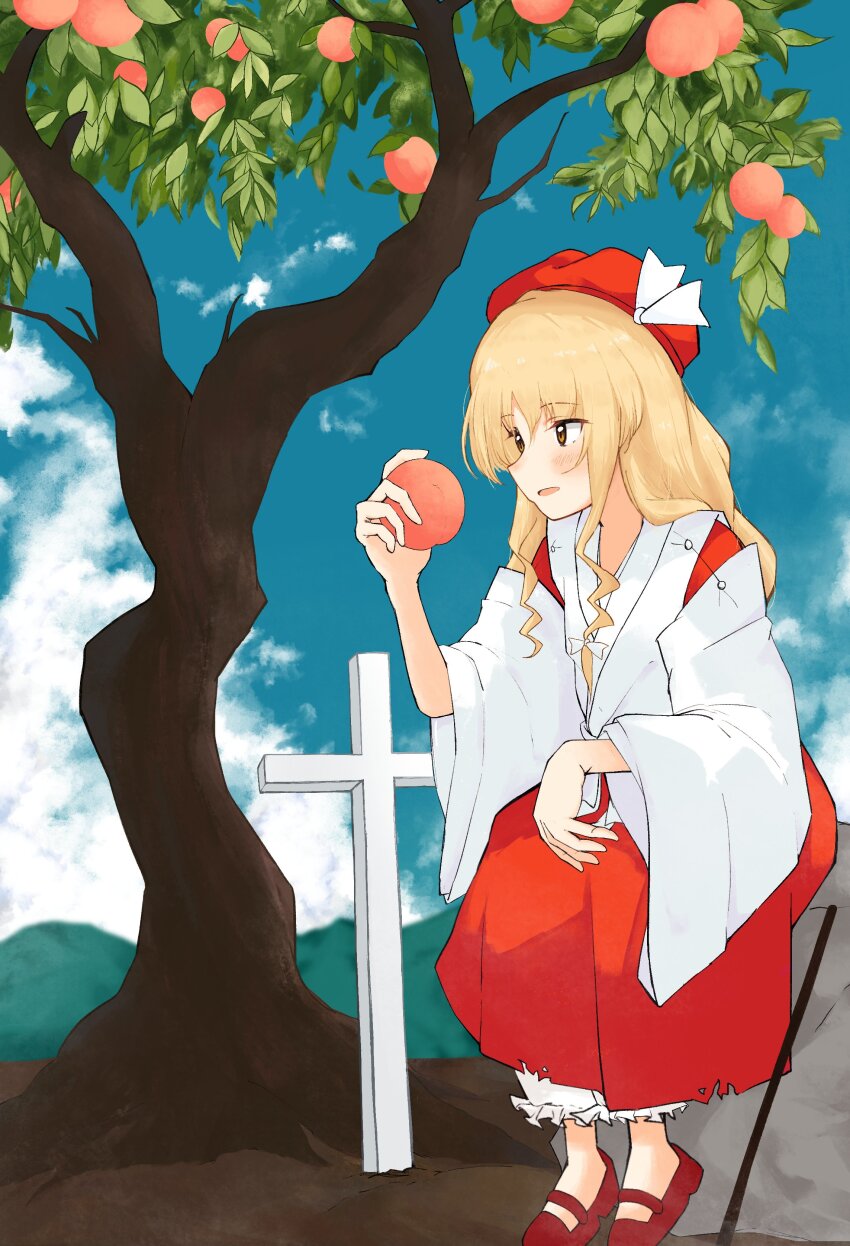 Sample image