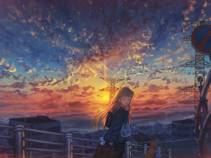 Sample image