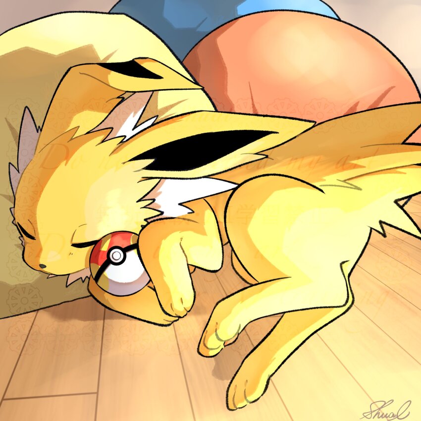 Sample image