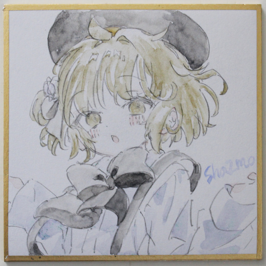 Sample image