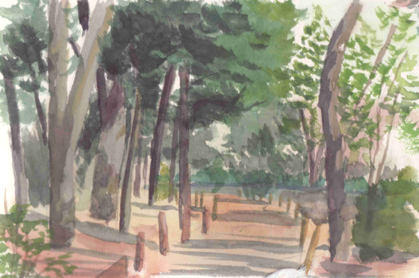 Sample image