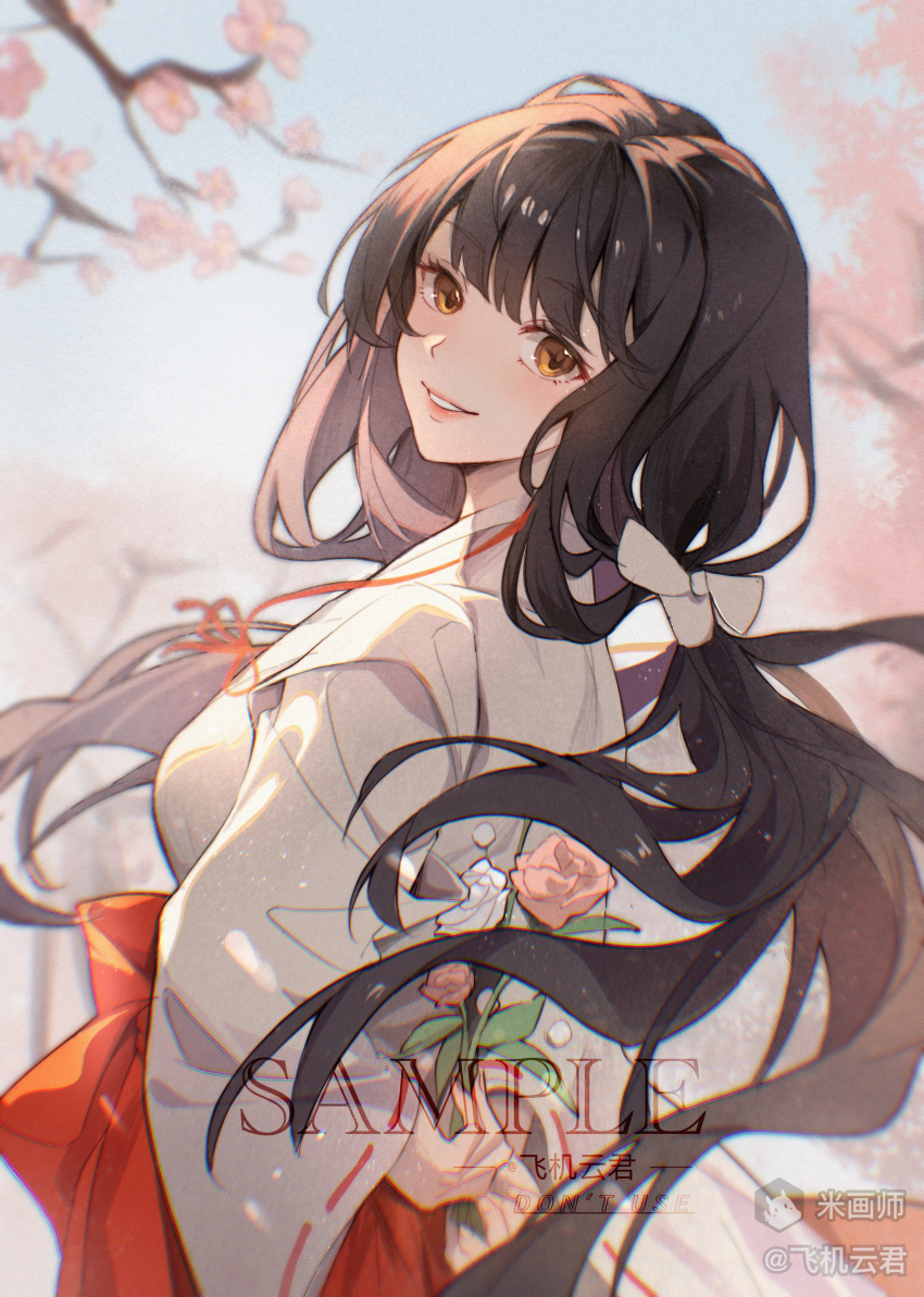 Sample image
