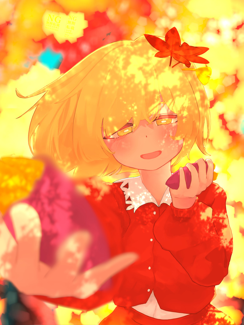 Sample image