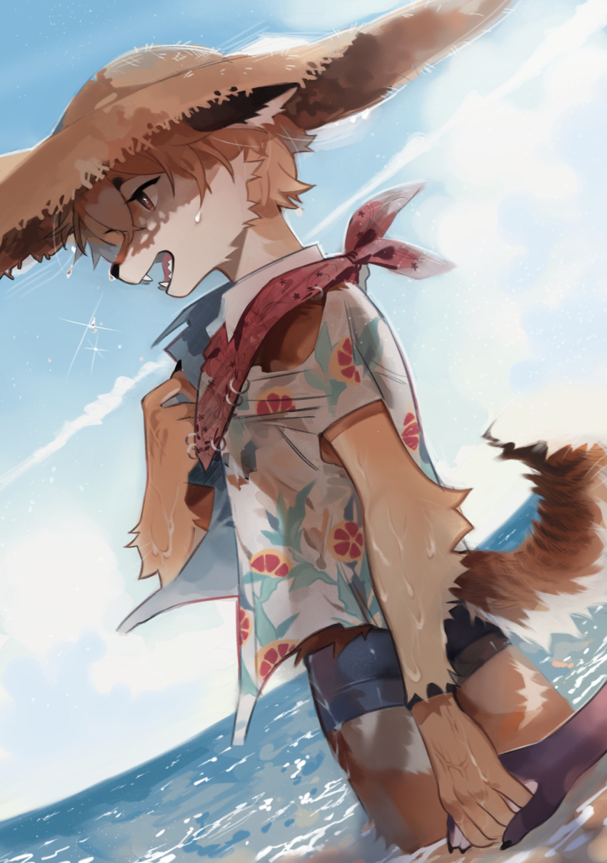 Sample image
