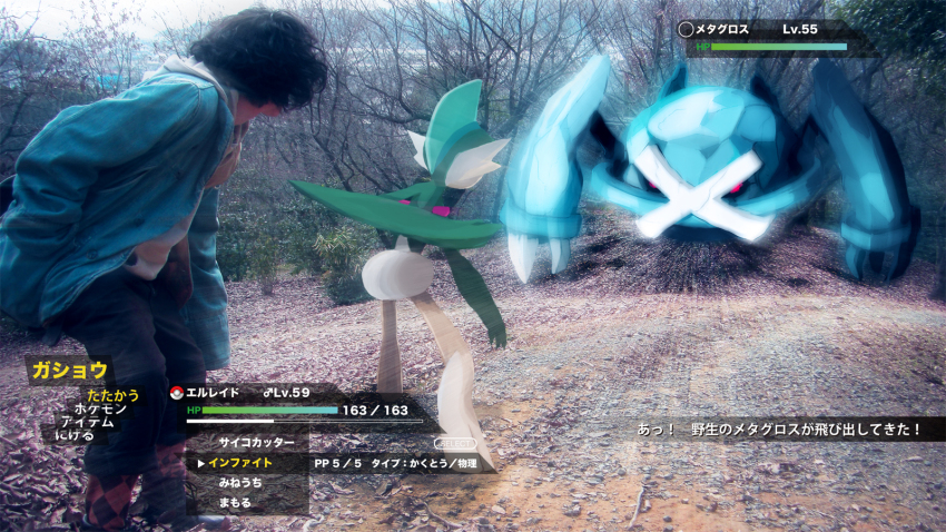 Sample image