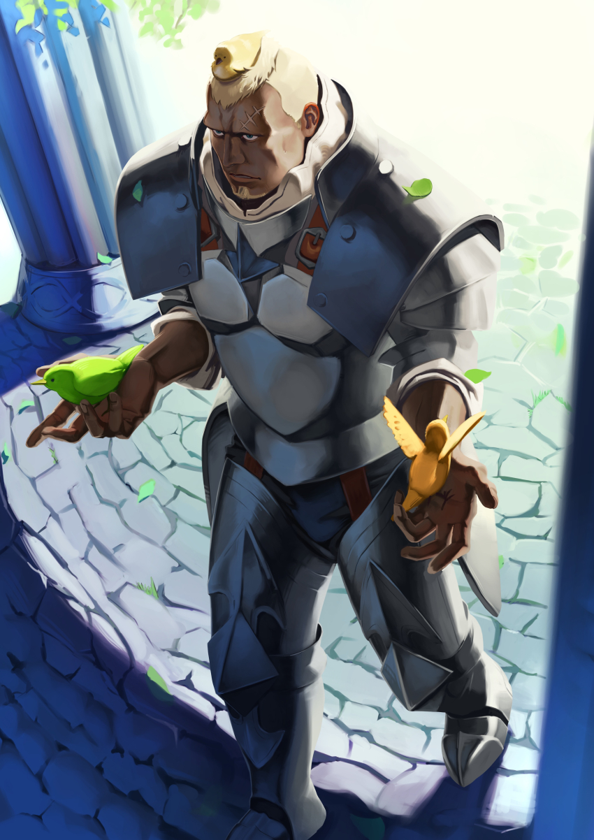 Sample image