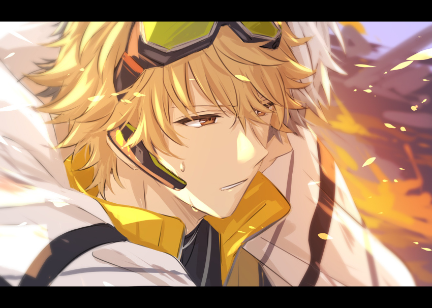 Sample image
