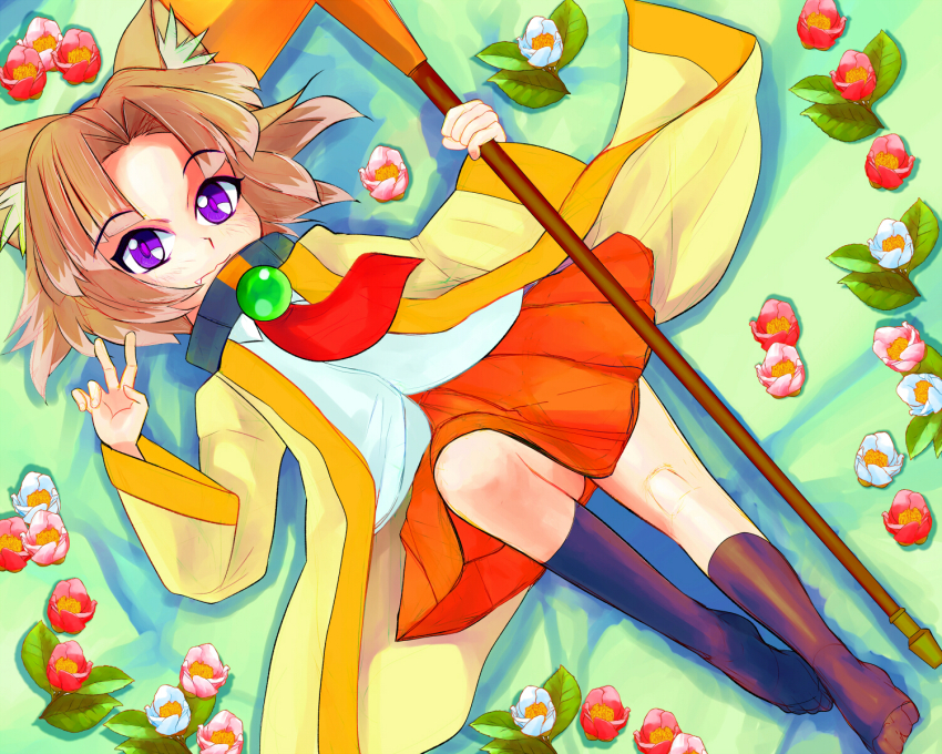 Sample image