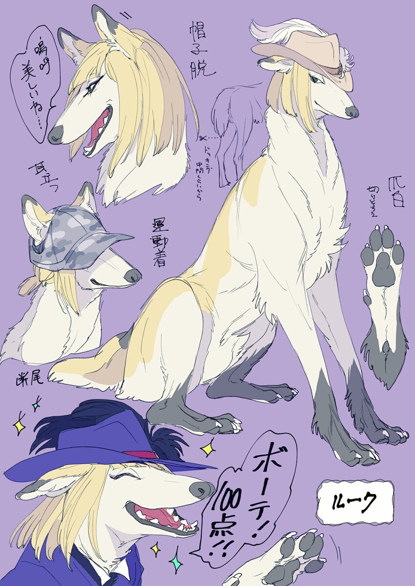 Sample image