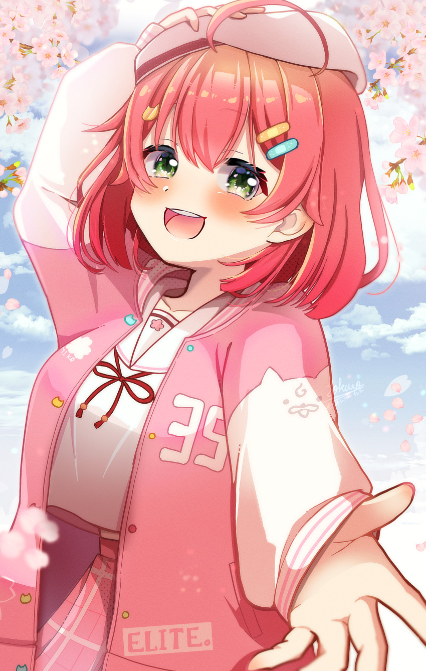 Sample image