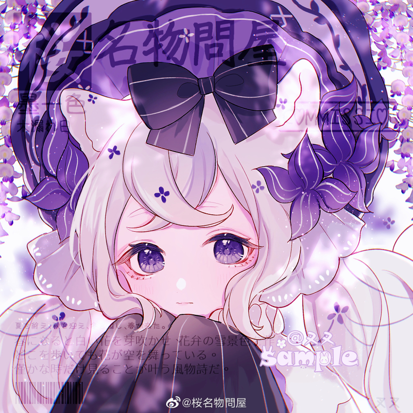 Sample image