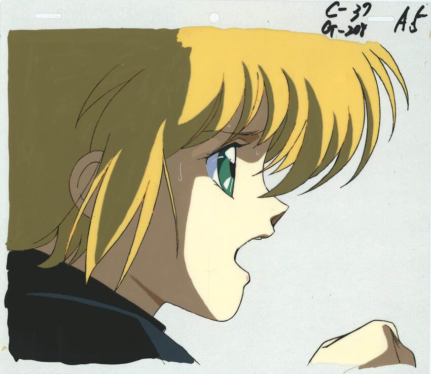 Sample image