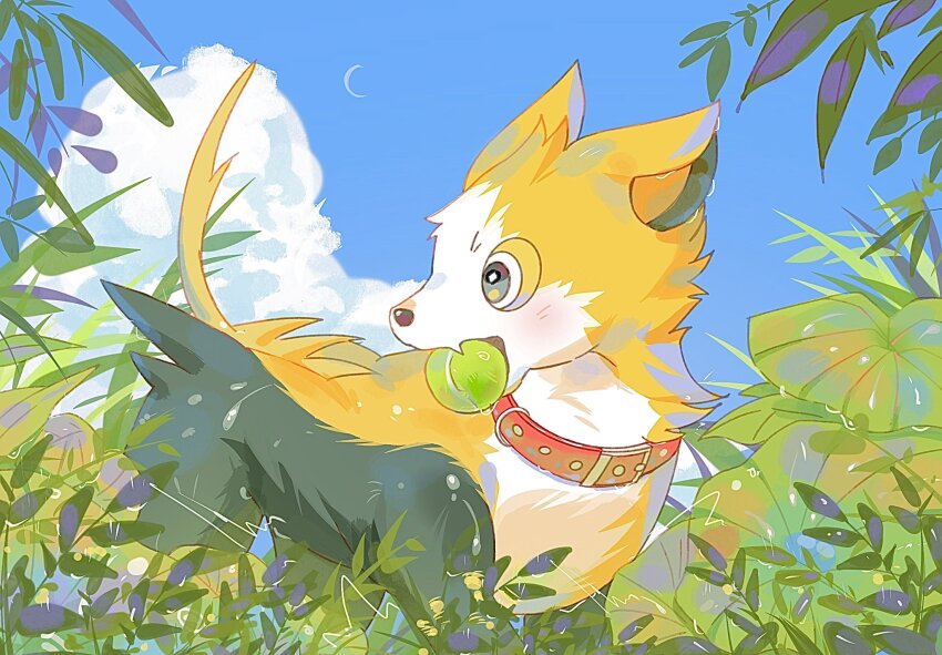 Sample image