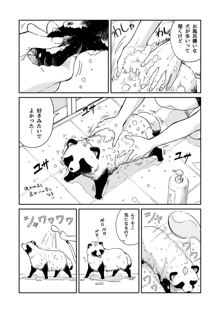 Sample image