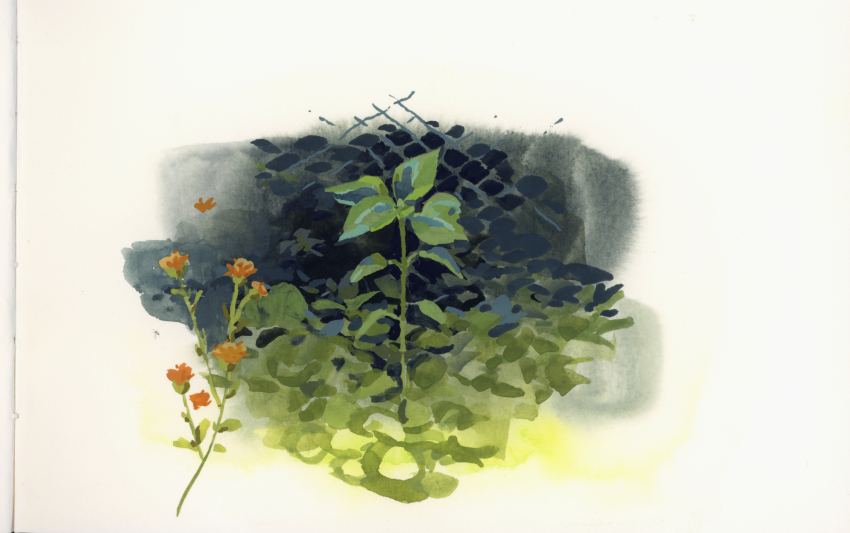 Sample image