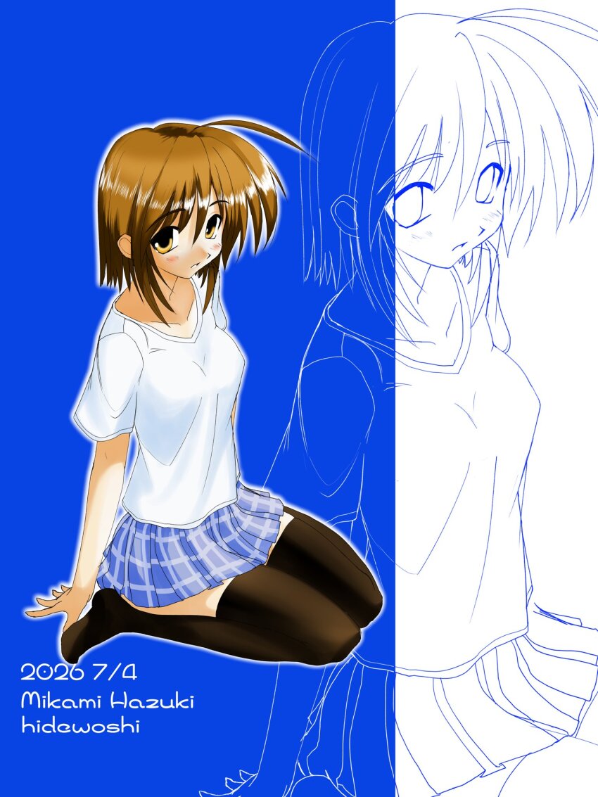 Sample image