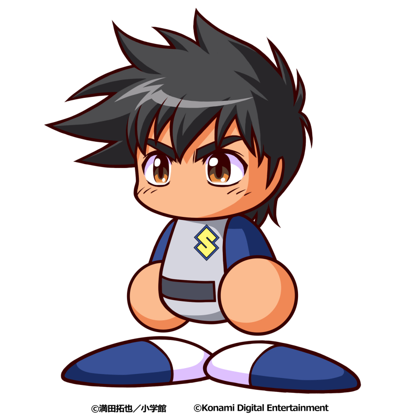 Sample image
