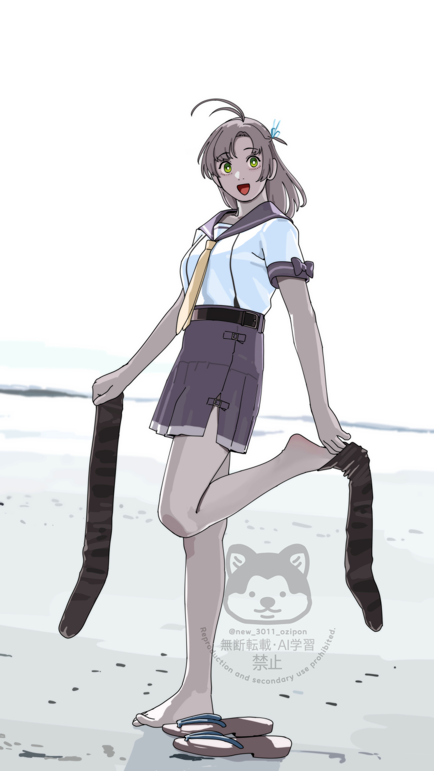 Sample image