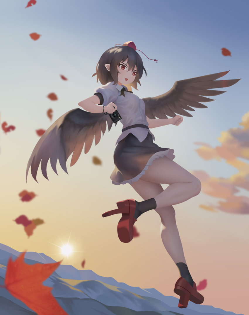 Sample image
