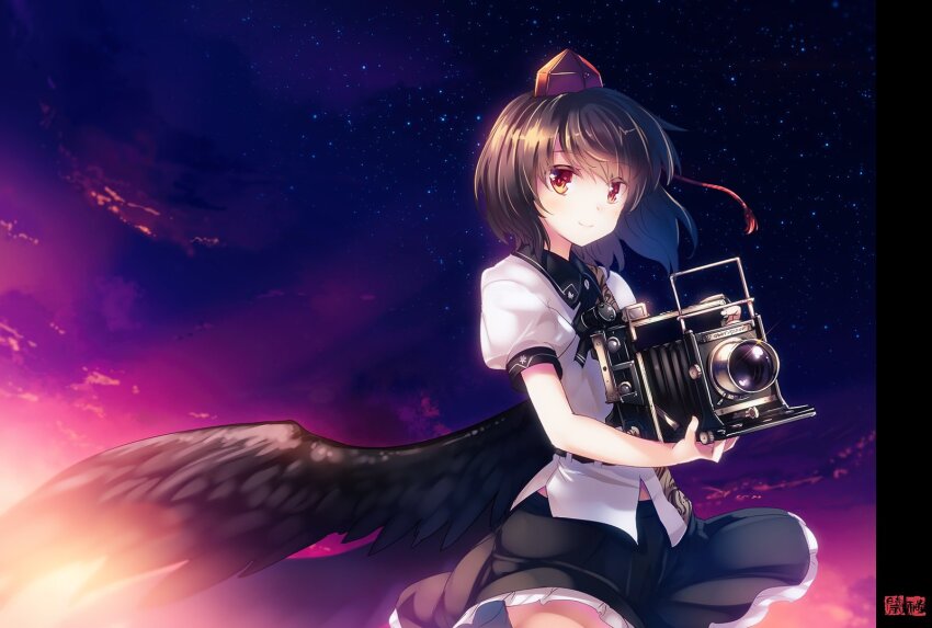 Sample image