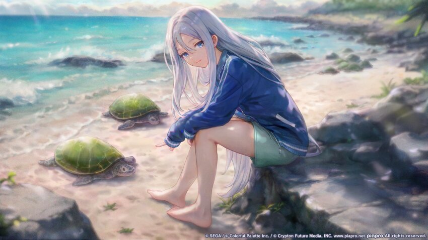 Sample image