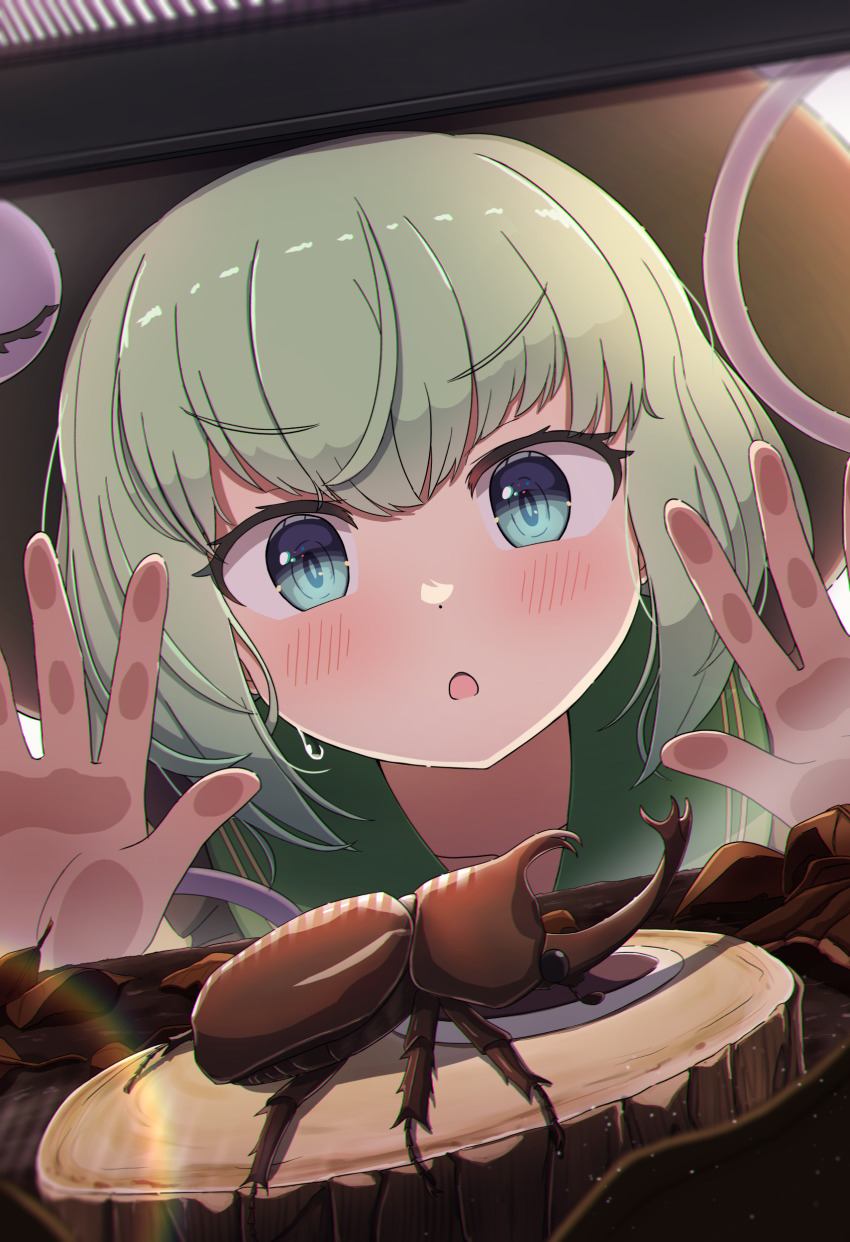 Sample image