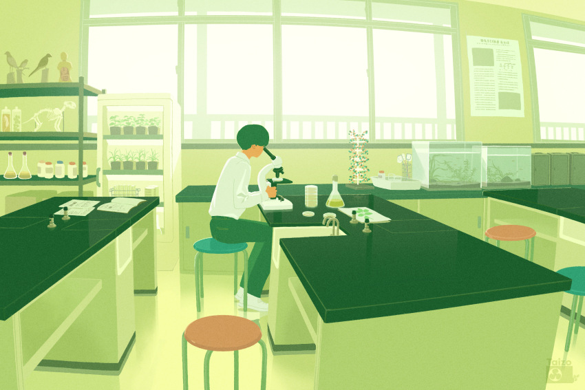 Sample image