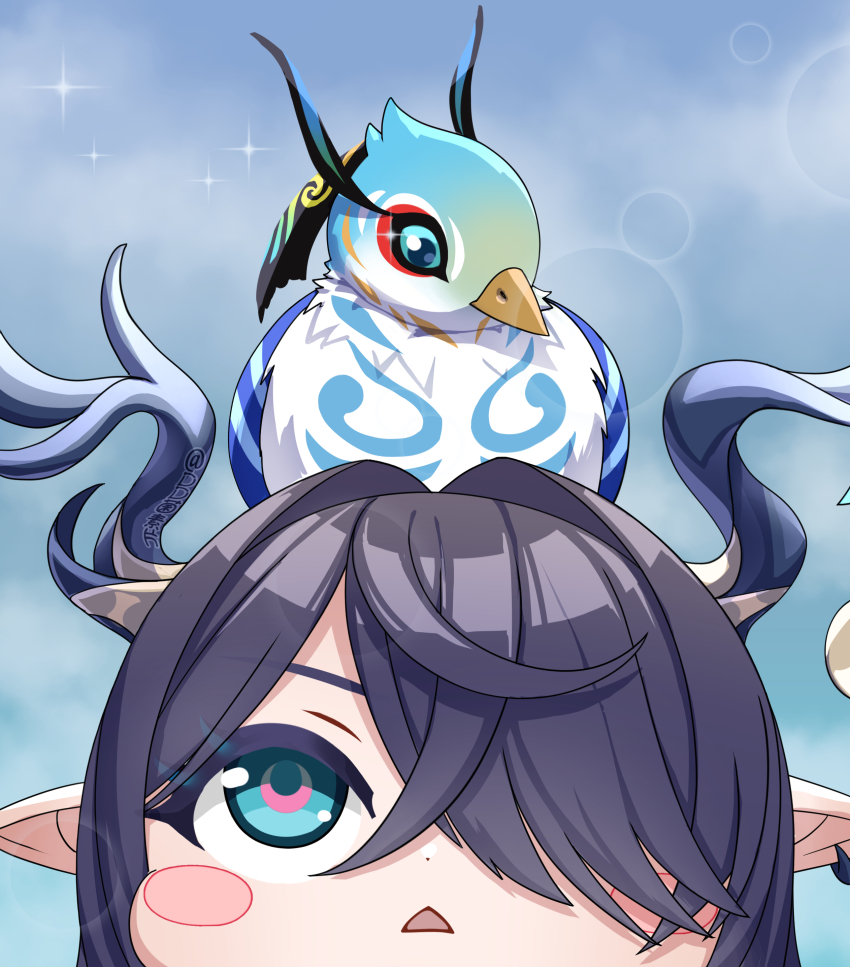 Sample image