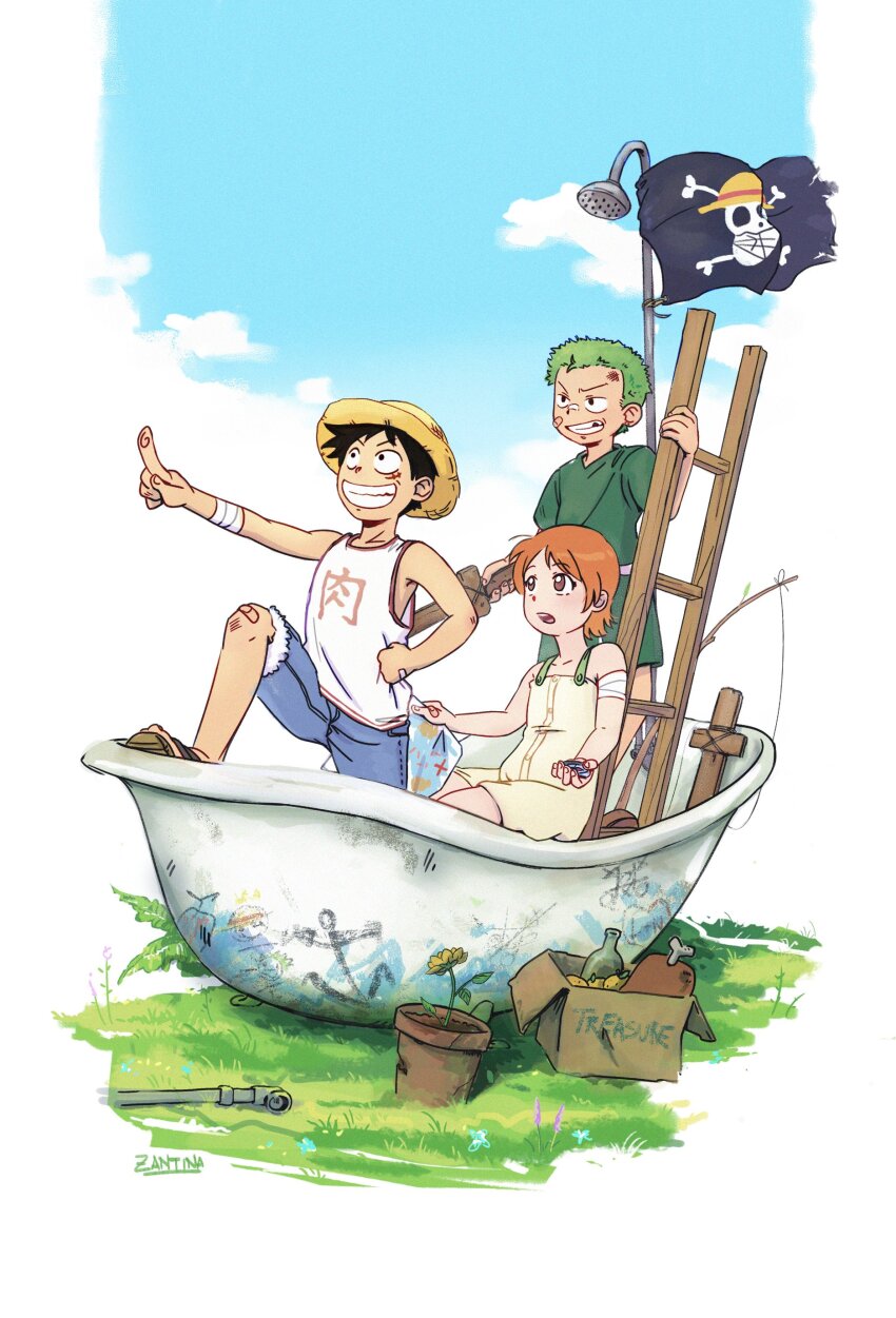 Sample image