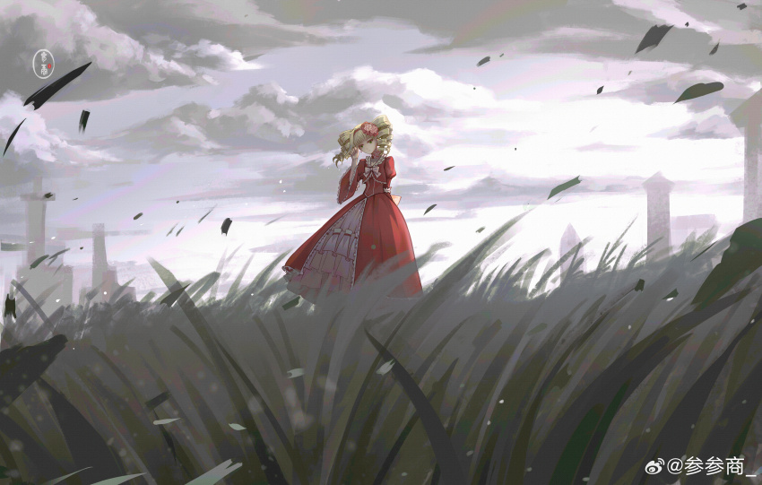 Sample image