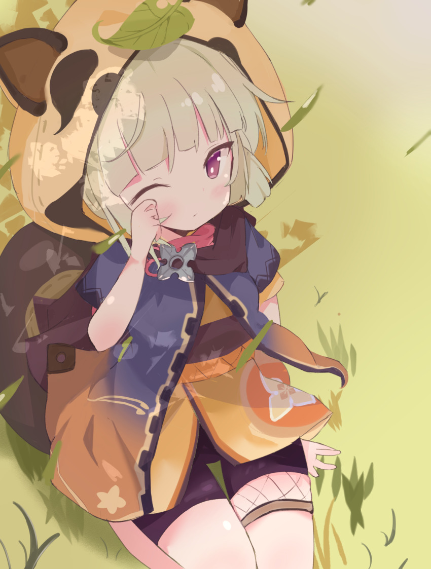 Sample image