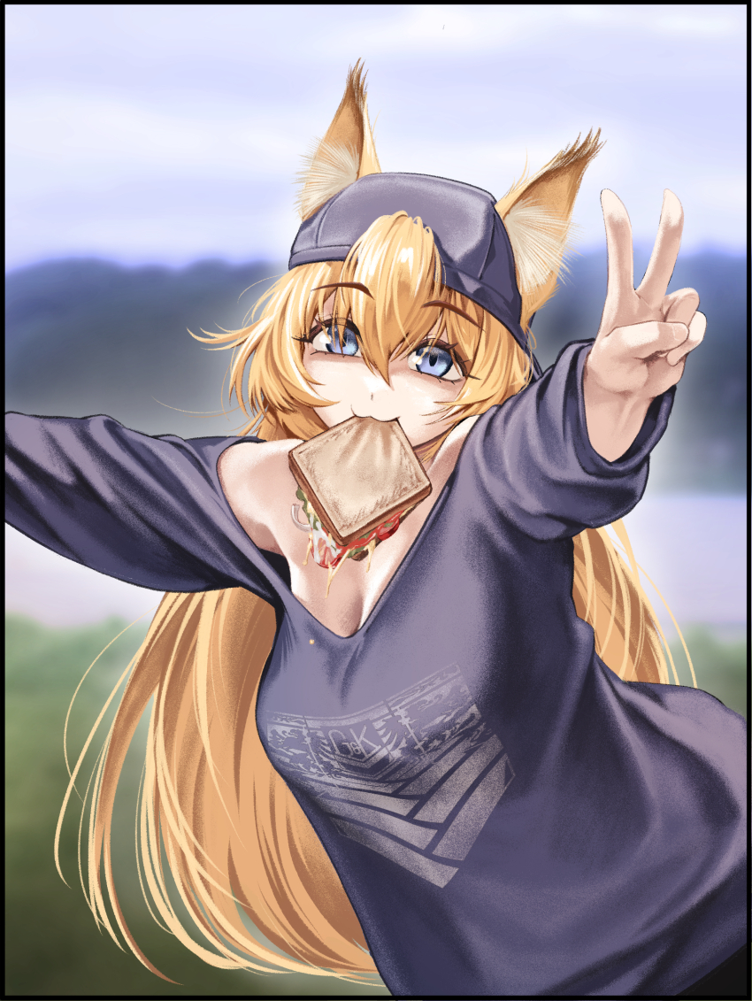 Sample image