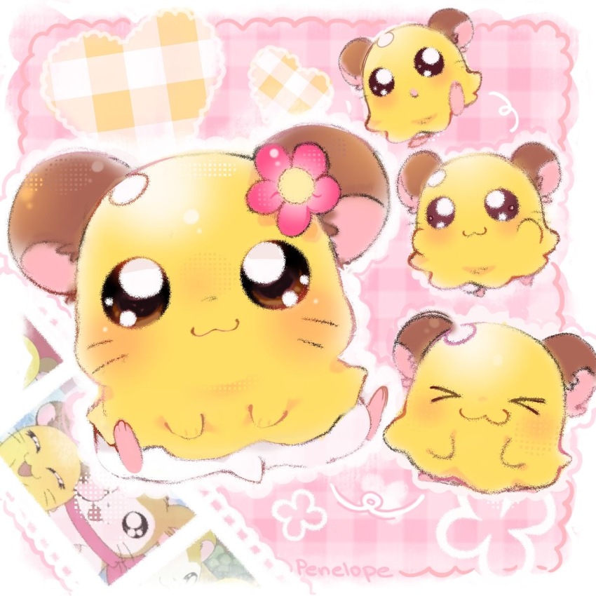 Sample image