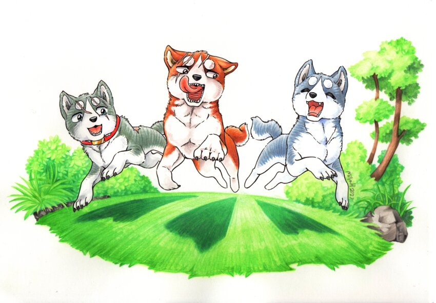 Sample image