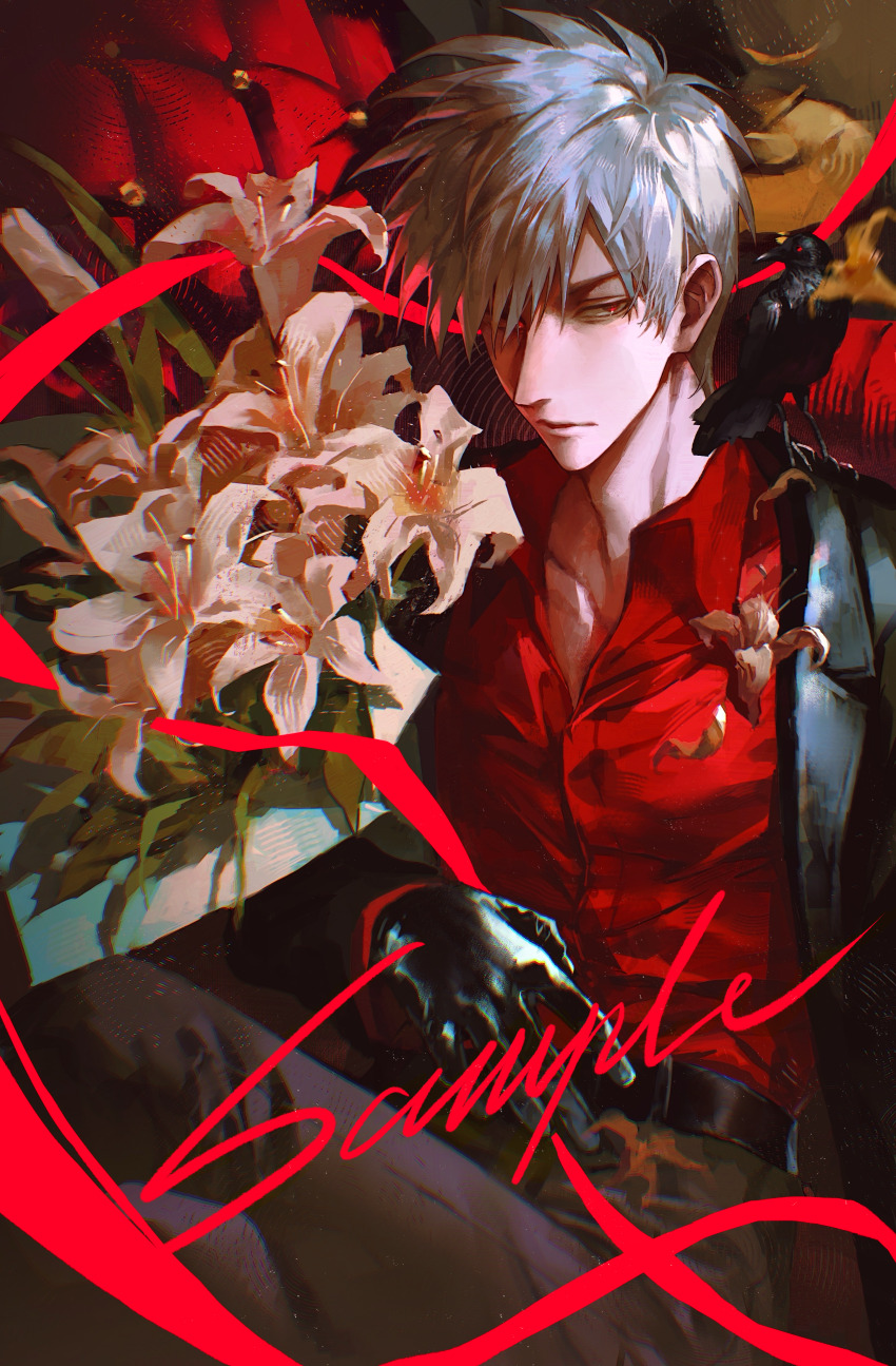 Sample image